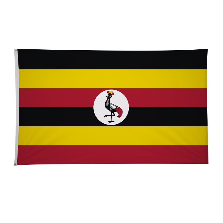 6' x 10' International Flags 188