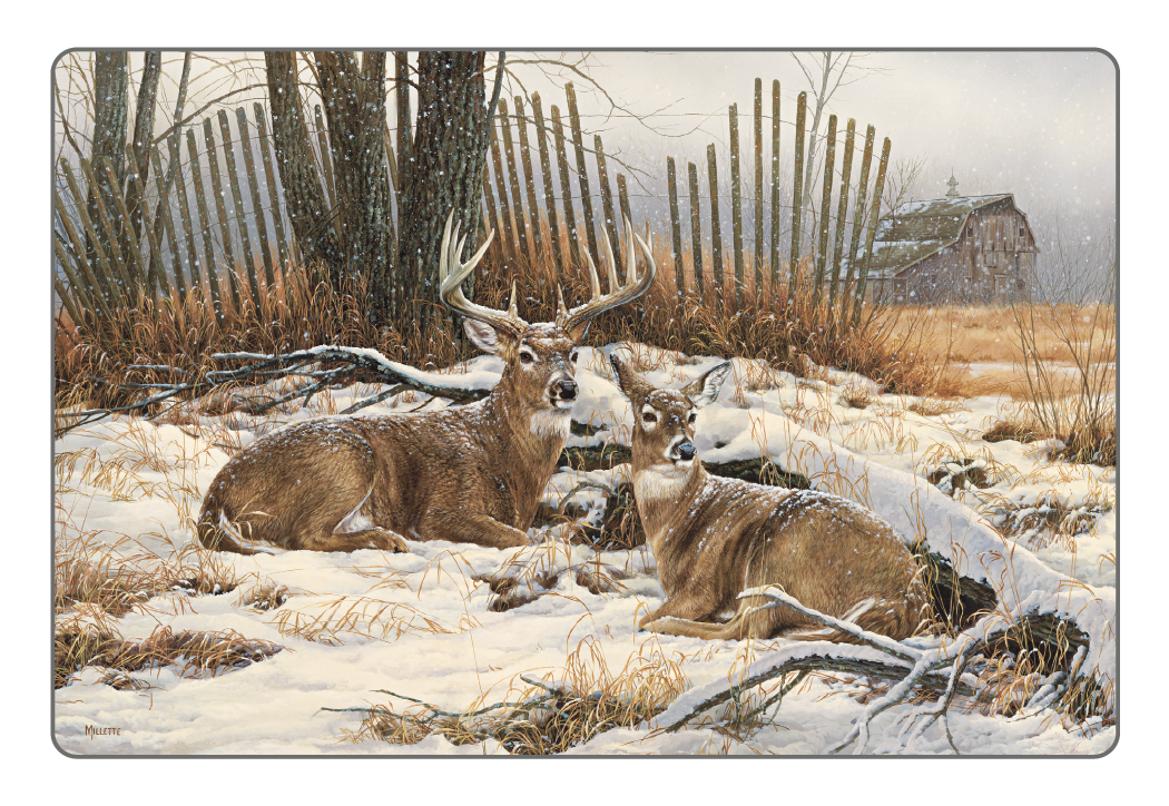Triumph® Calendars Wildlife Art Pocket Calendar 24