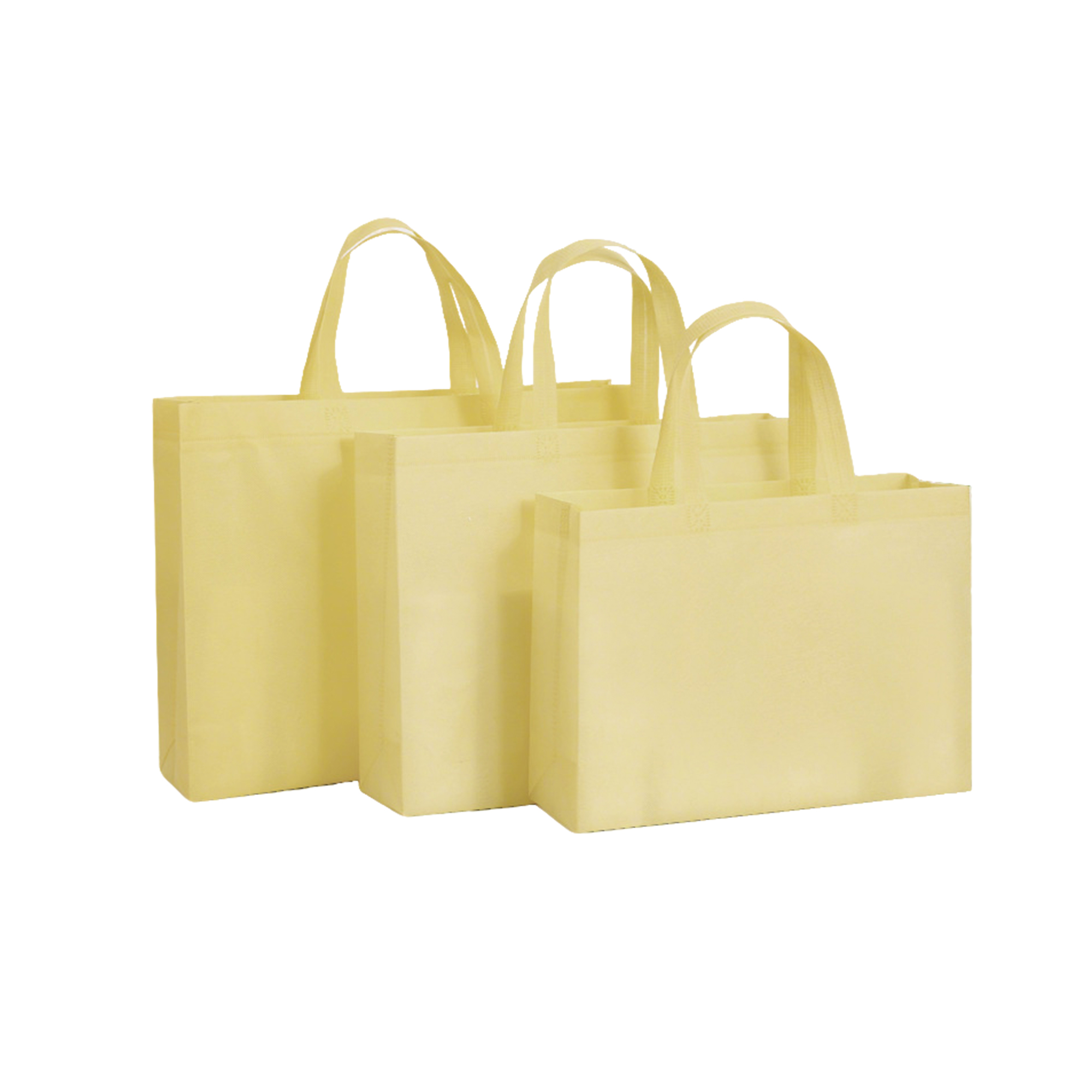 Horizontal Non Woven Shopping Bag 2