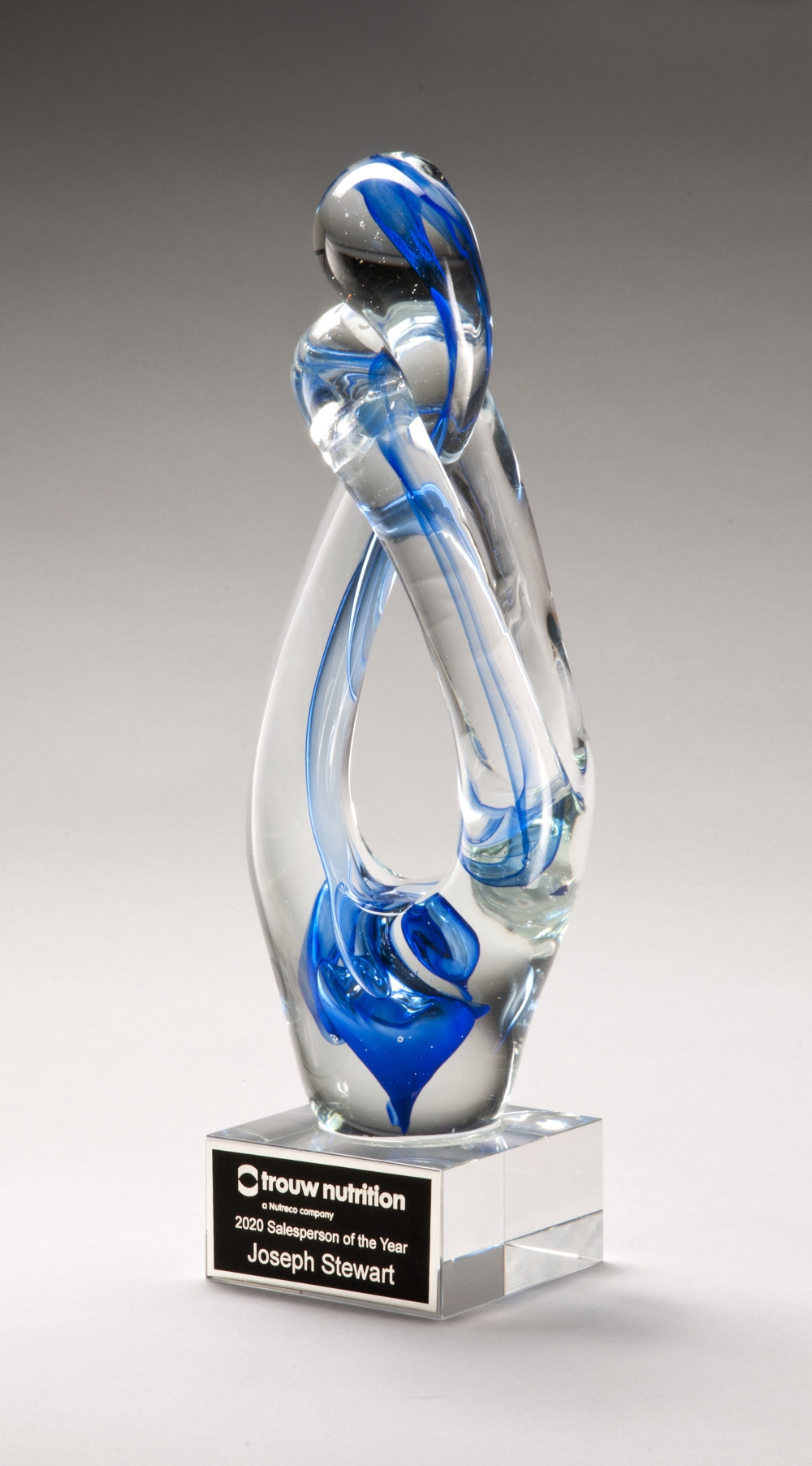 Tribute Art Glass 12" 2