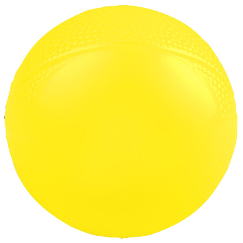 Mini Vinyl Basketball 6