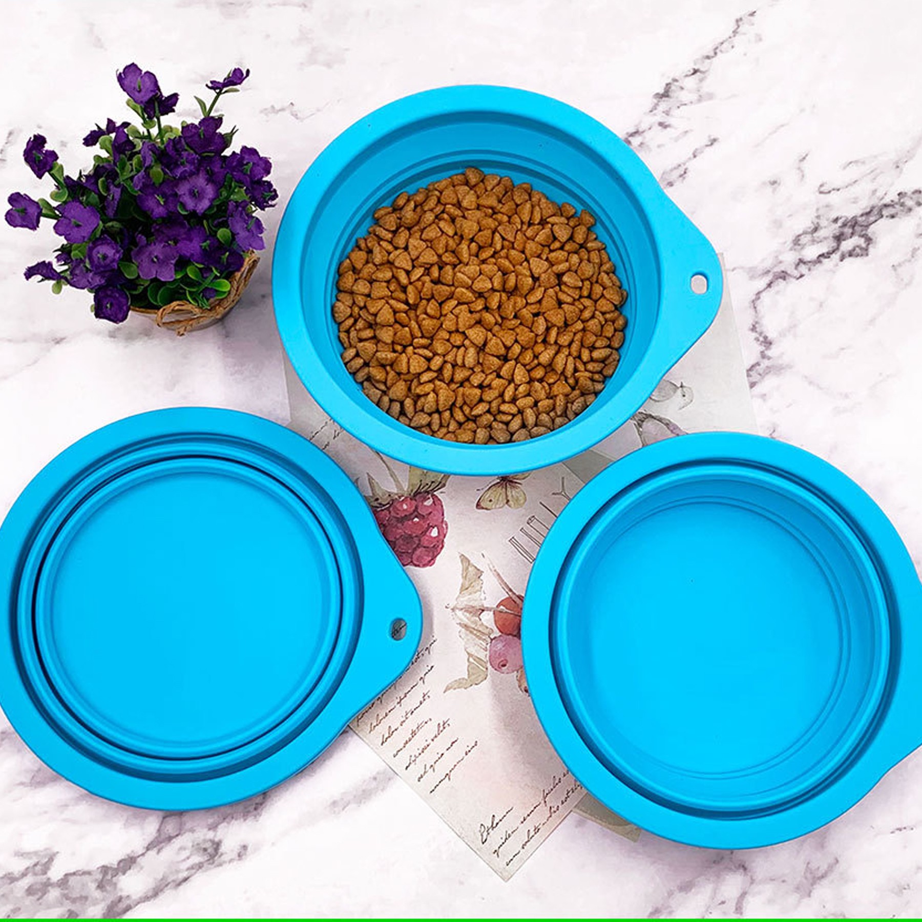 Collapsible Pet Bowl 2