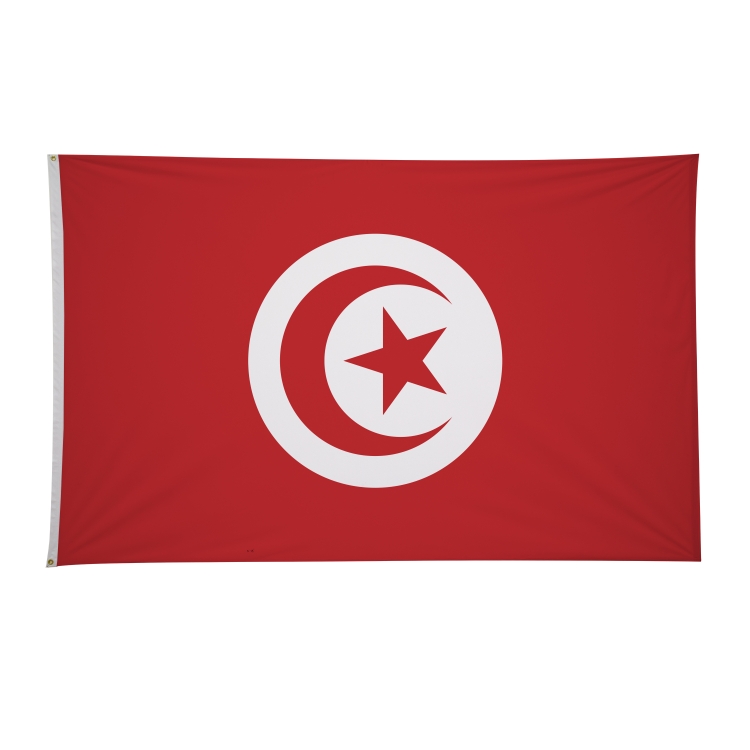 5' x 8' International Flags 313