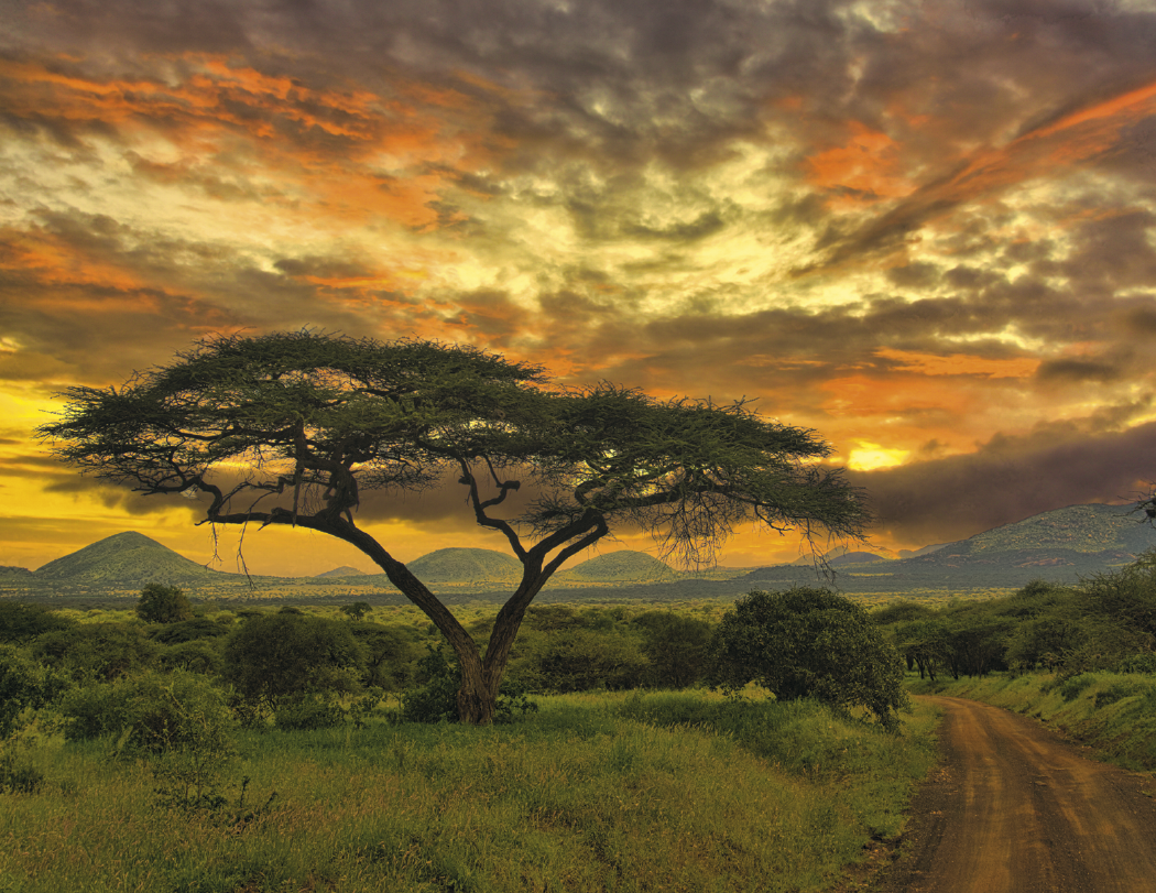 Triumph® Calendars World Scenic Calendar 54