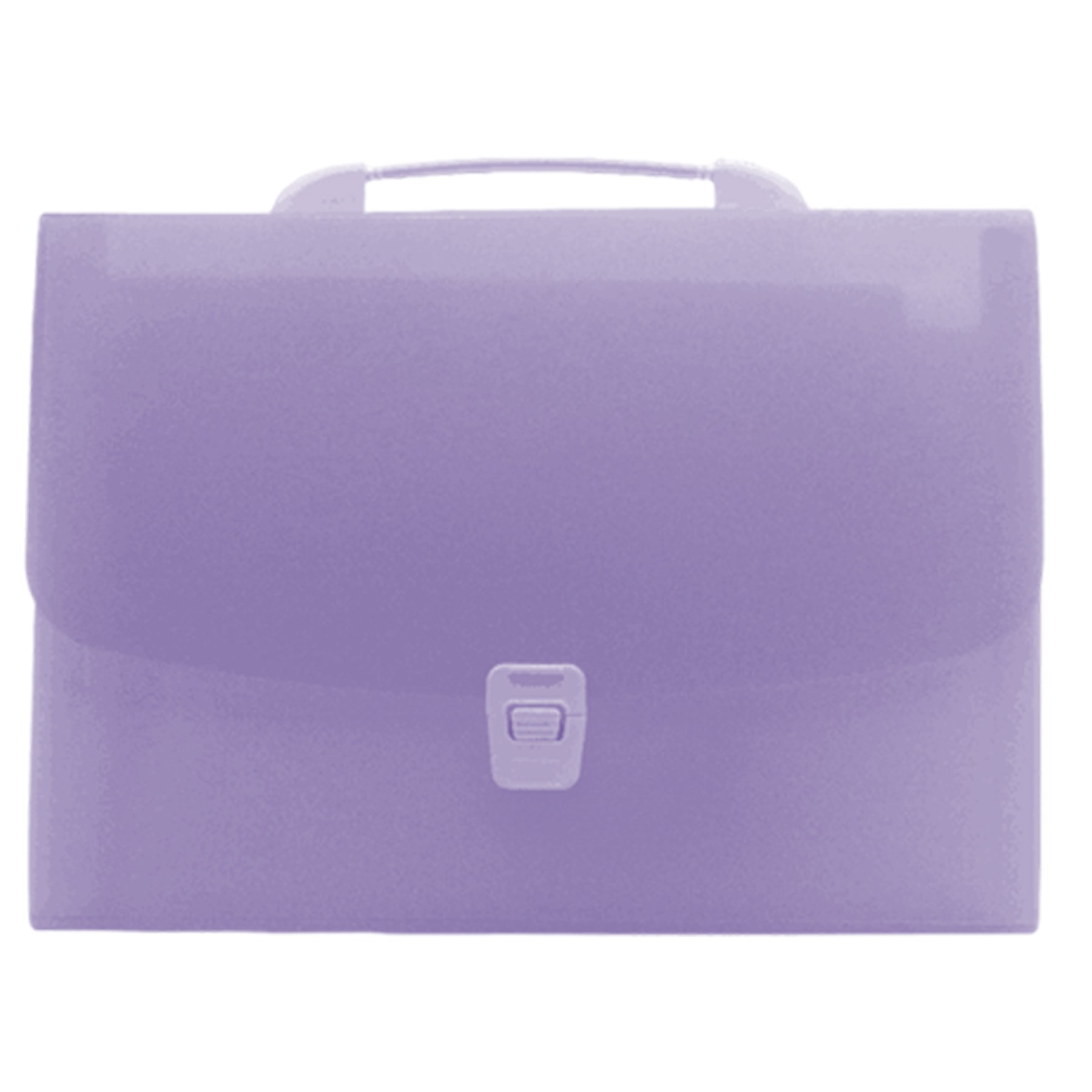 Portable Translucent Folder Bag 1