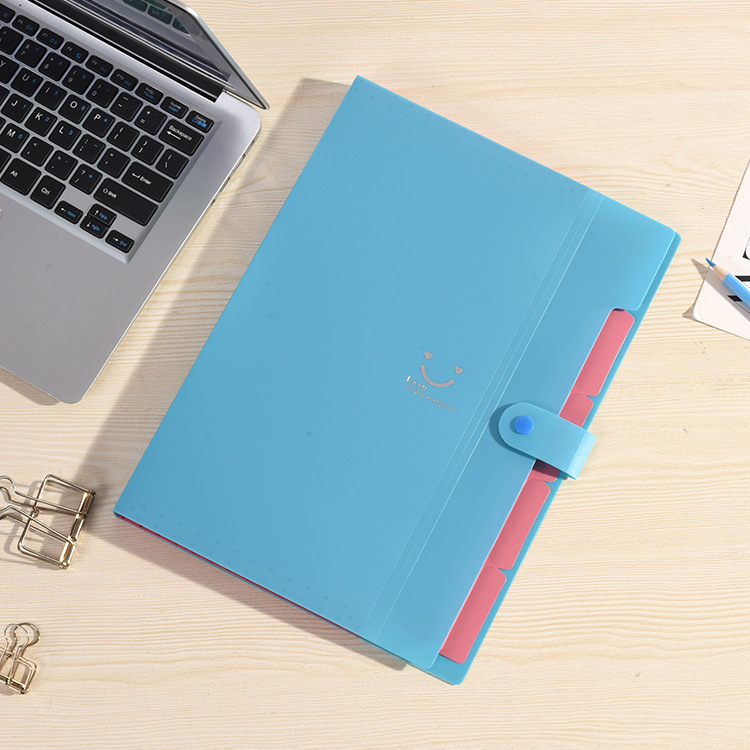 Colored Expanding File Folder 1
