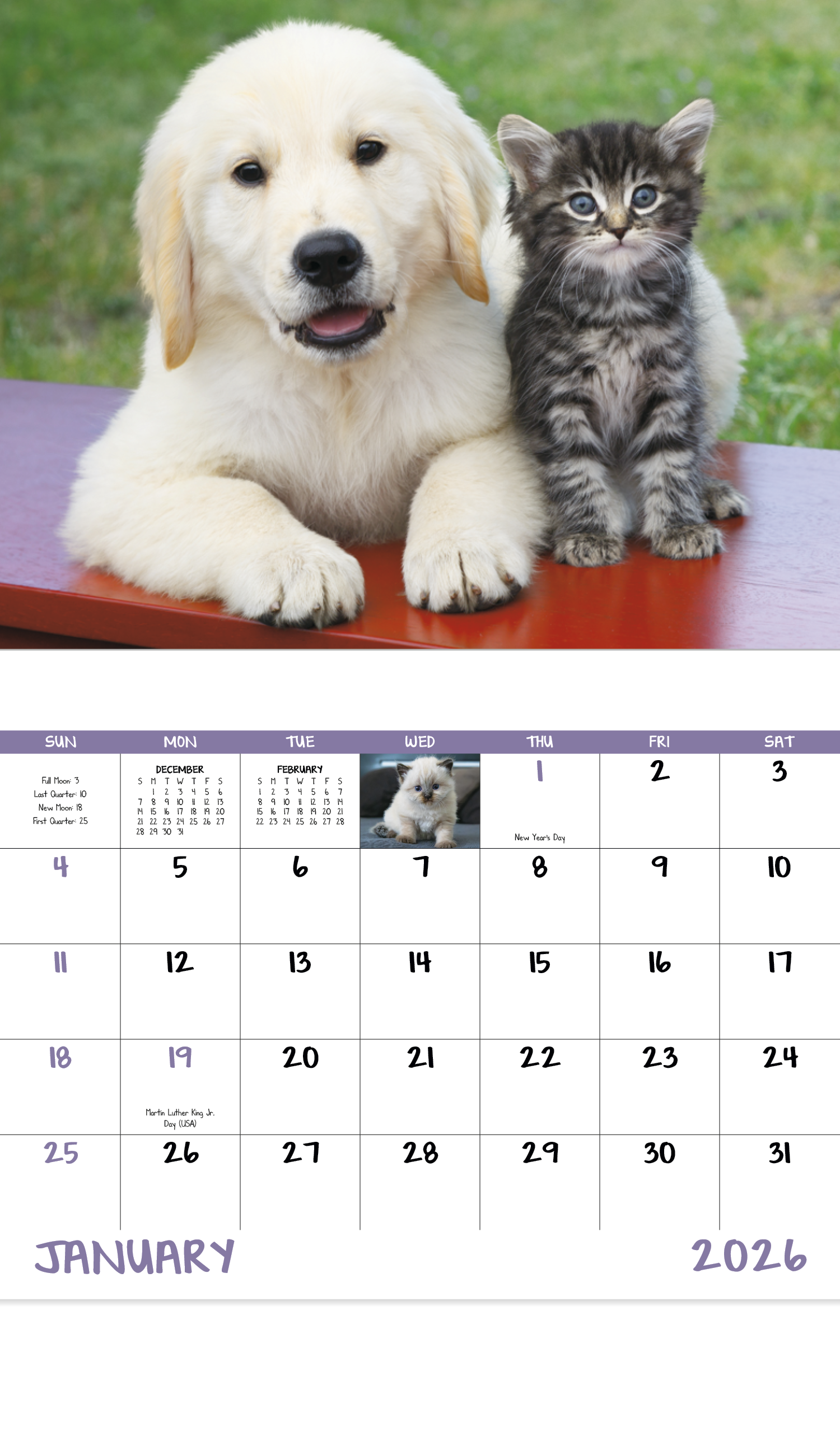 Good Value™ Puppies & Kittens - Stapled Calendar 28
