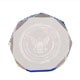 6" Blue Octagon Acrylic Award 2