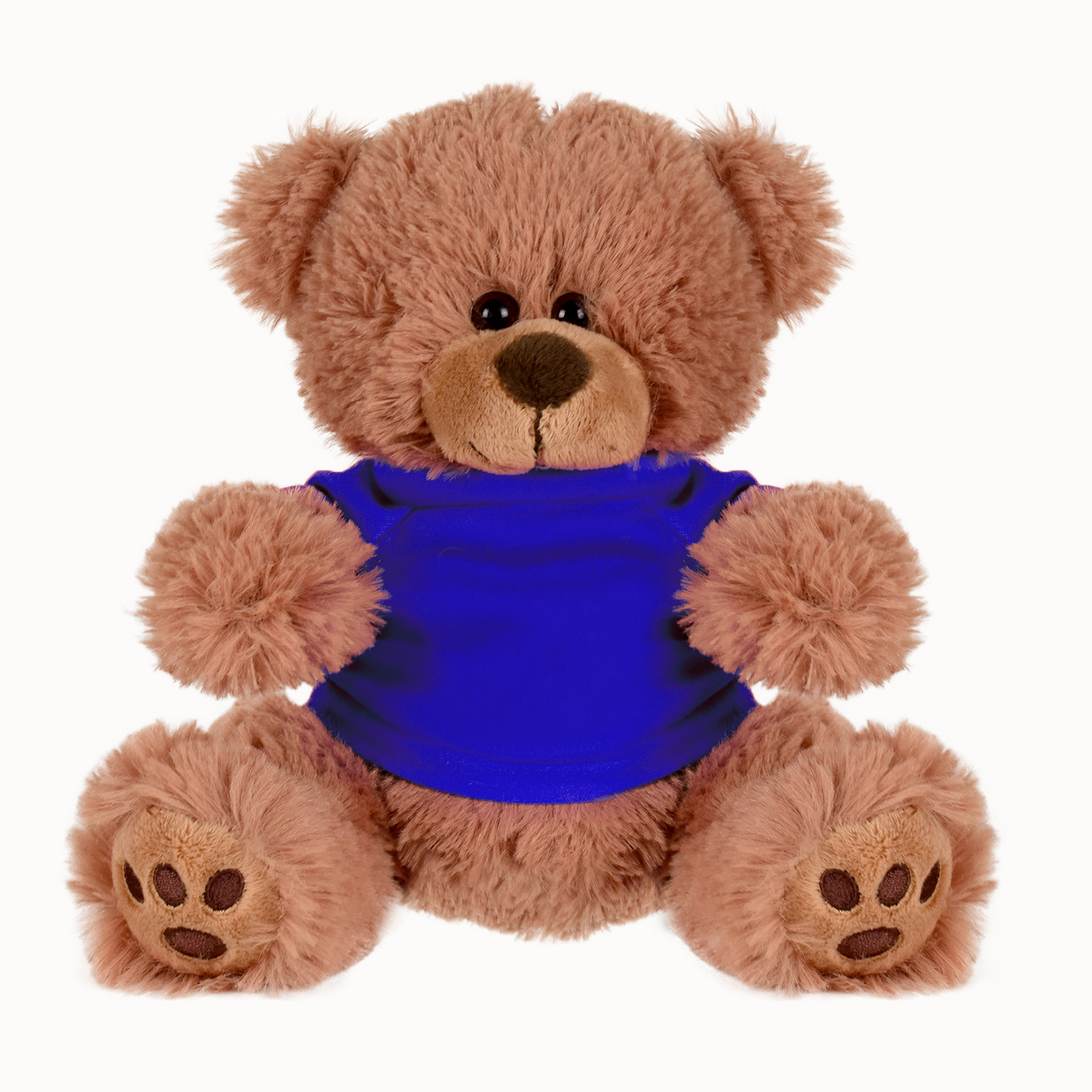Plush Bear w/ Embroidered Paws and T-Shirt 16