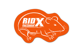Rat/Mouse Vinyl Jar Opener 95