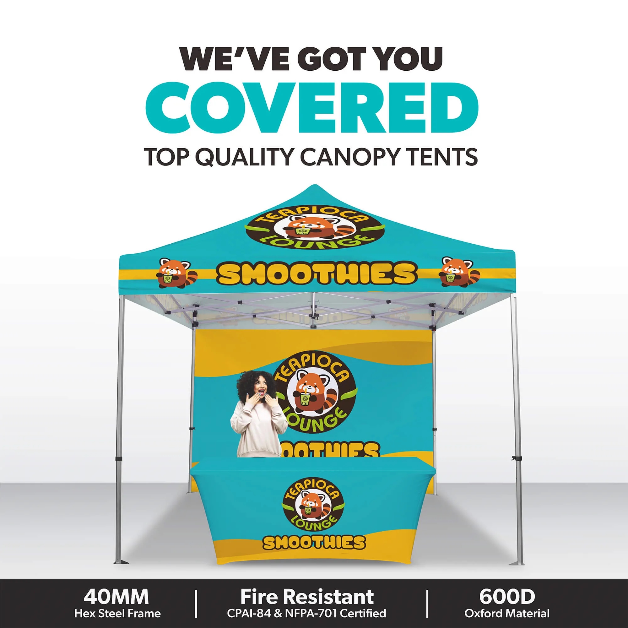 10ft x 10ft Custom Canopy Tent - Event Silver Package 9