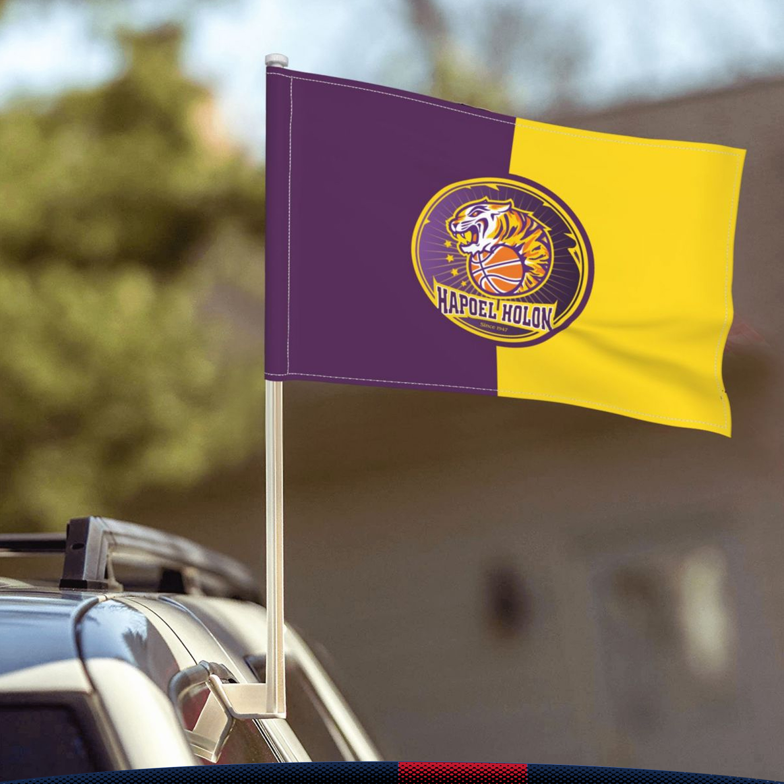 National Car Flag 5