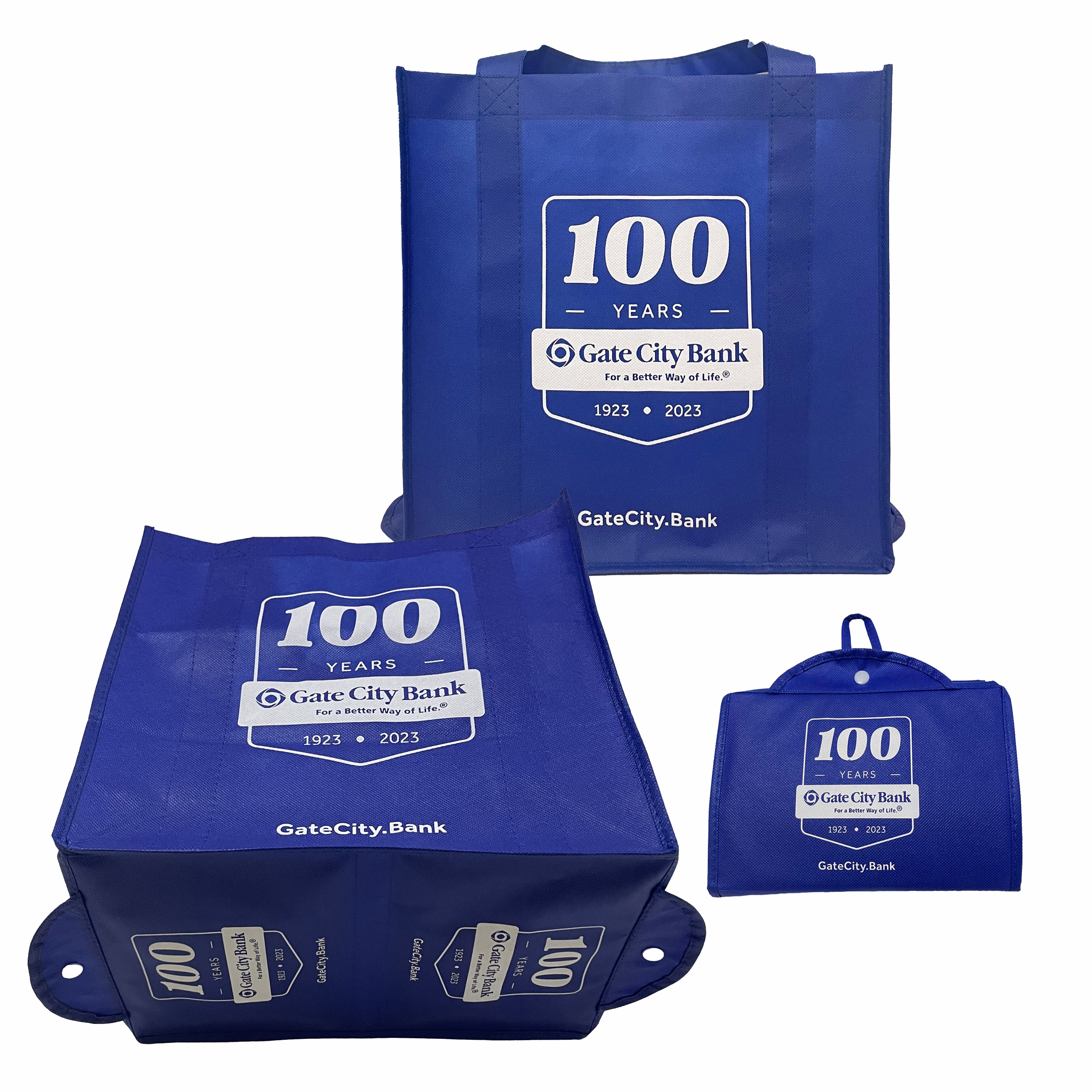 Custom 90g Non-Woven PP Foldable Bag 13"x15"x10" 1