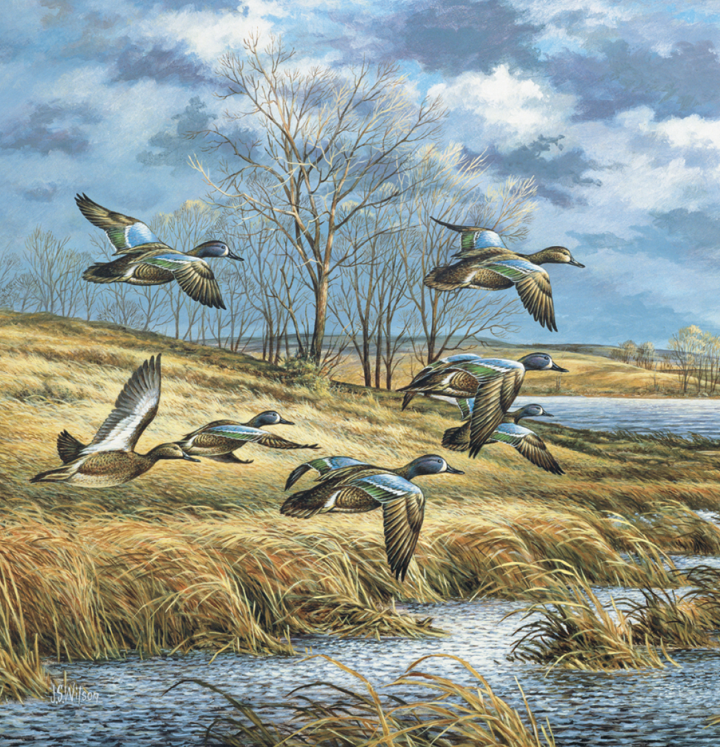 Triumph® Calendars Wildlife Art Calendar 65