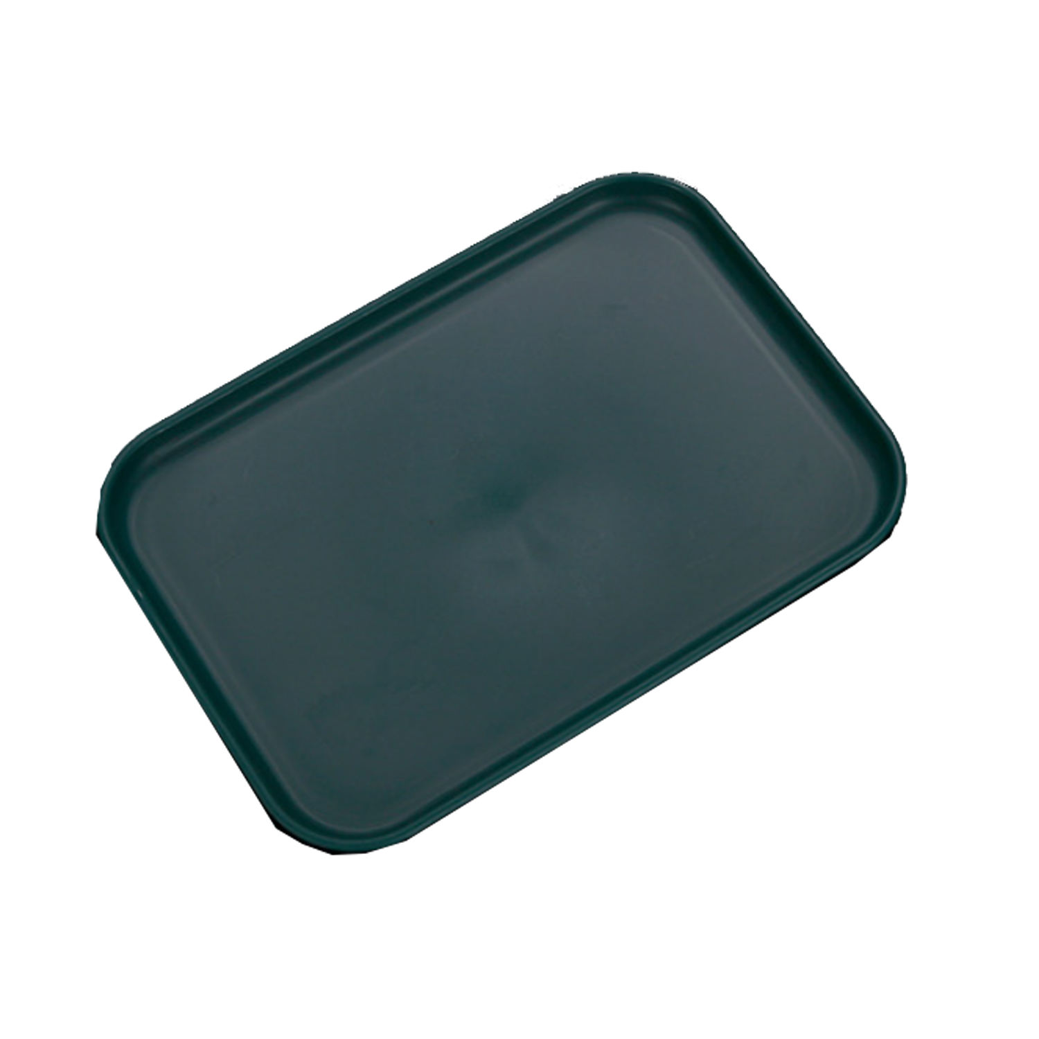 Plastic Serving Tray 2