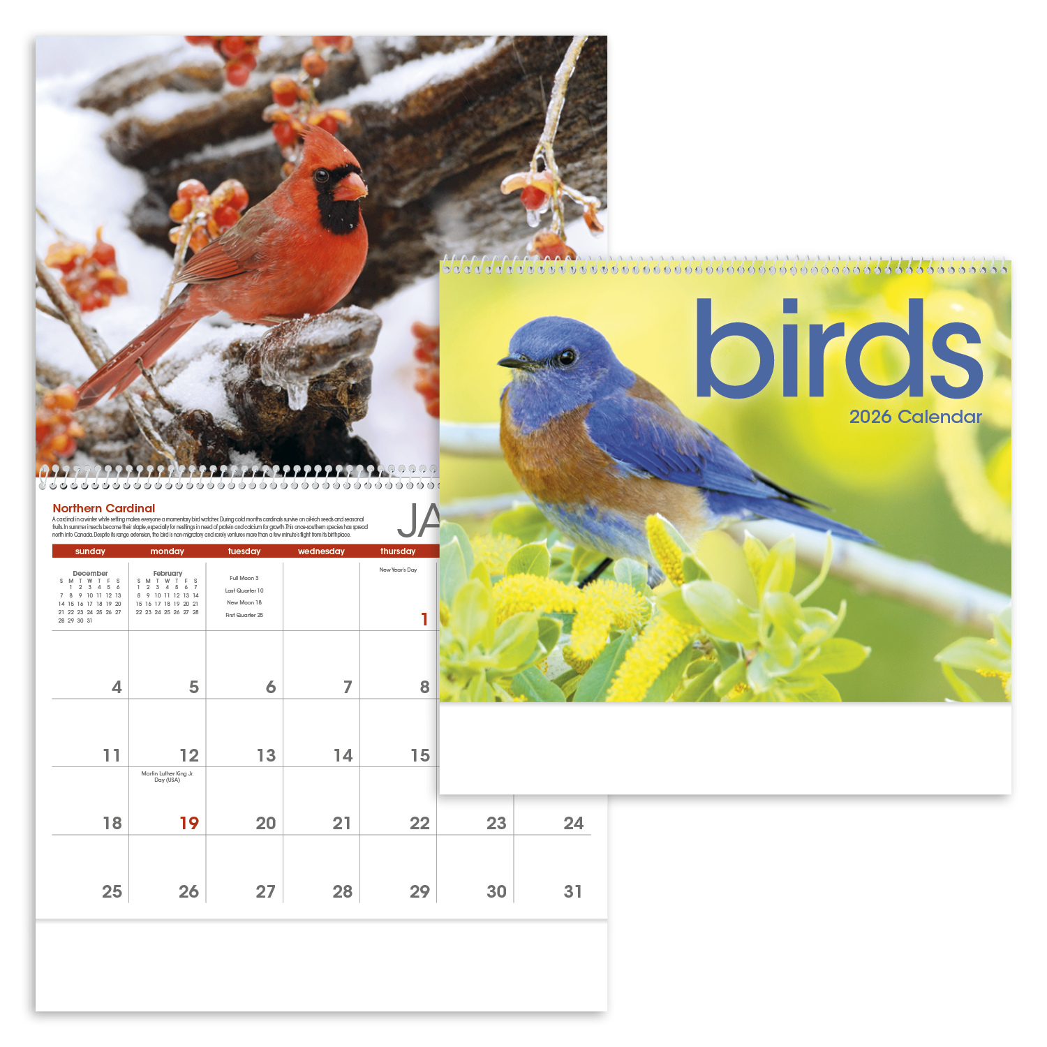 Triumph® Calendars Birds Calendar 35