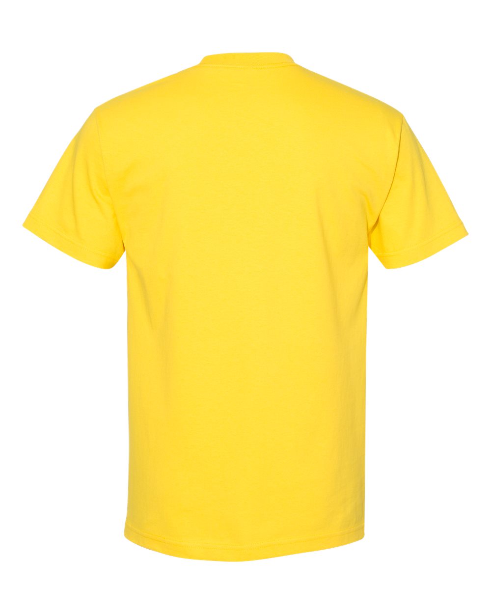 Unisex Heavyweight Cotton Tee - 1301 13