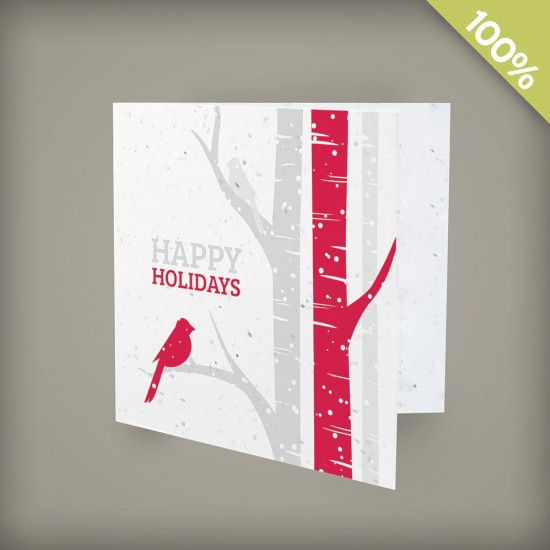 Birch Trees Square Business Holiday Cards 5