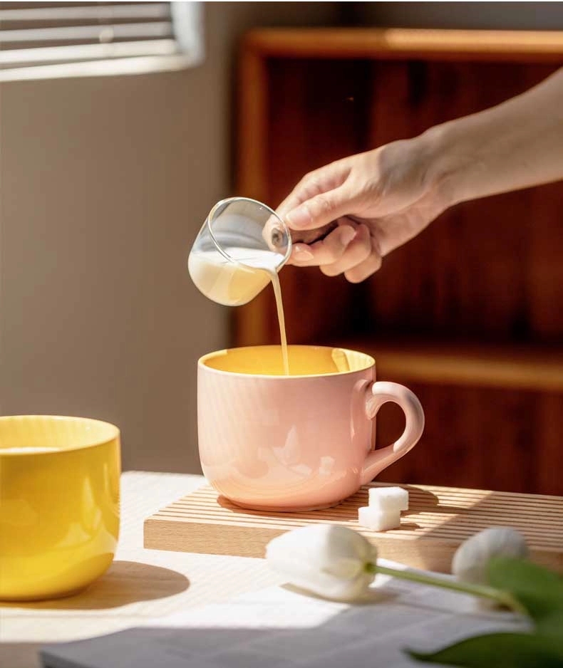 Large-Capacity Thickened Heat-resistant Ceramic Handle Mug 17