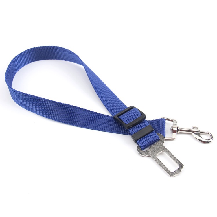 Medium and Large Dog Traction Rope 2