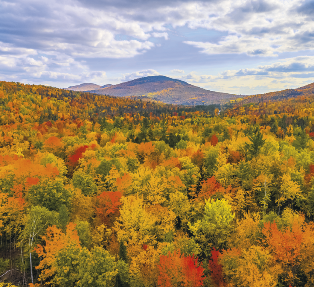 Good Value™ Landscapes of America - Mini Calendar 12
