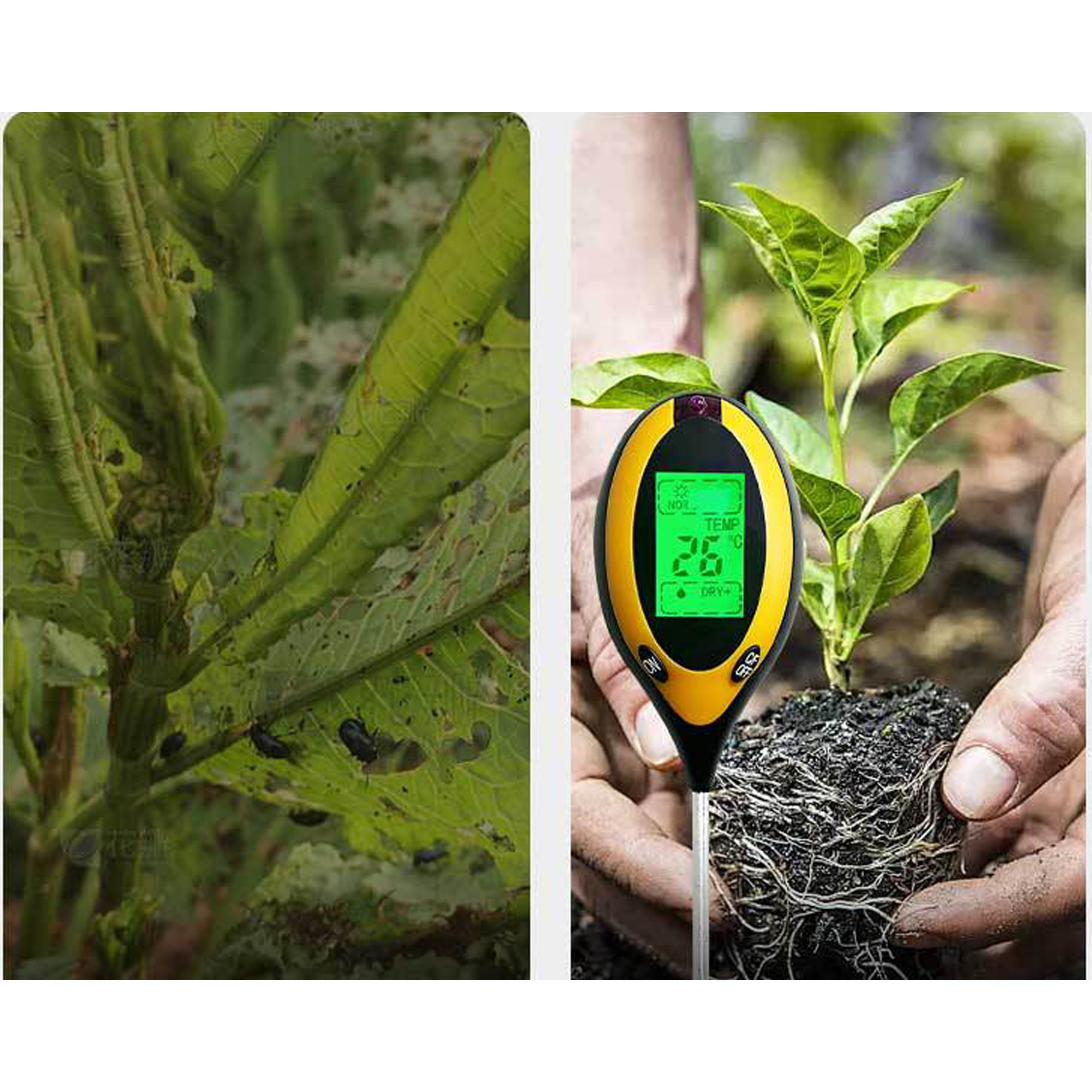 4-in-1 digital soil moisture tester 3