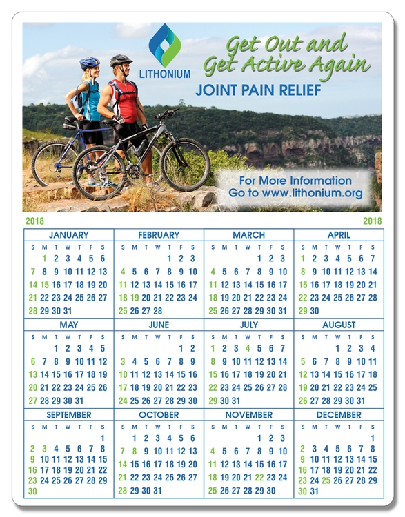 Year-at-a-Glance Full Color Plastic Write-On / Wipe off Wall Calendar 2