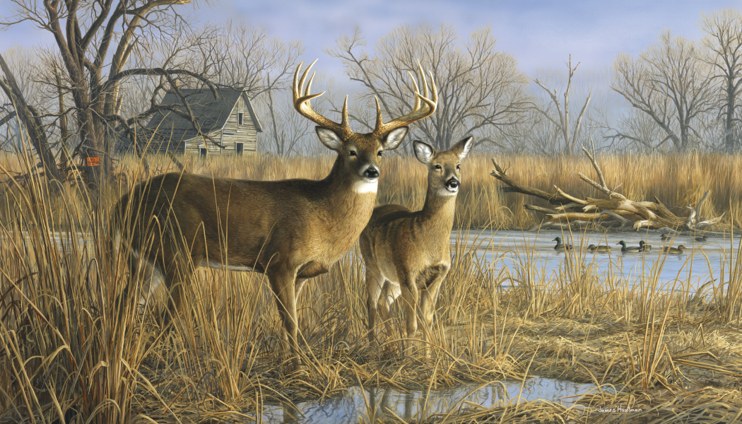 Triumph® Calendars Wildlife Art by the Hautman Brothers Calendar