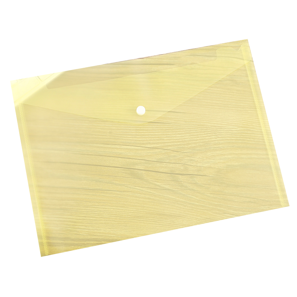 Transparent Snap Document Bag 5