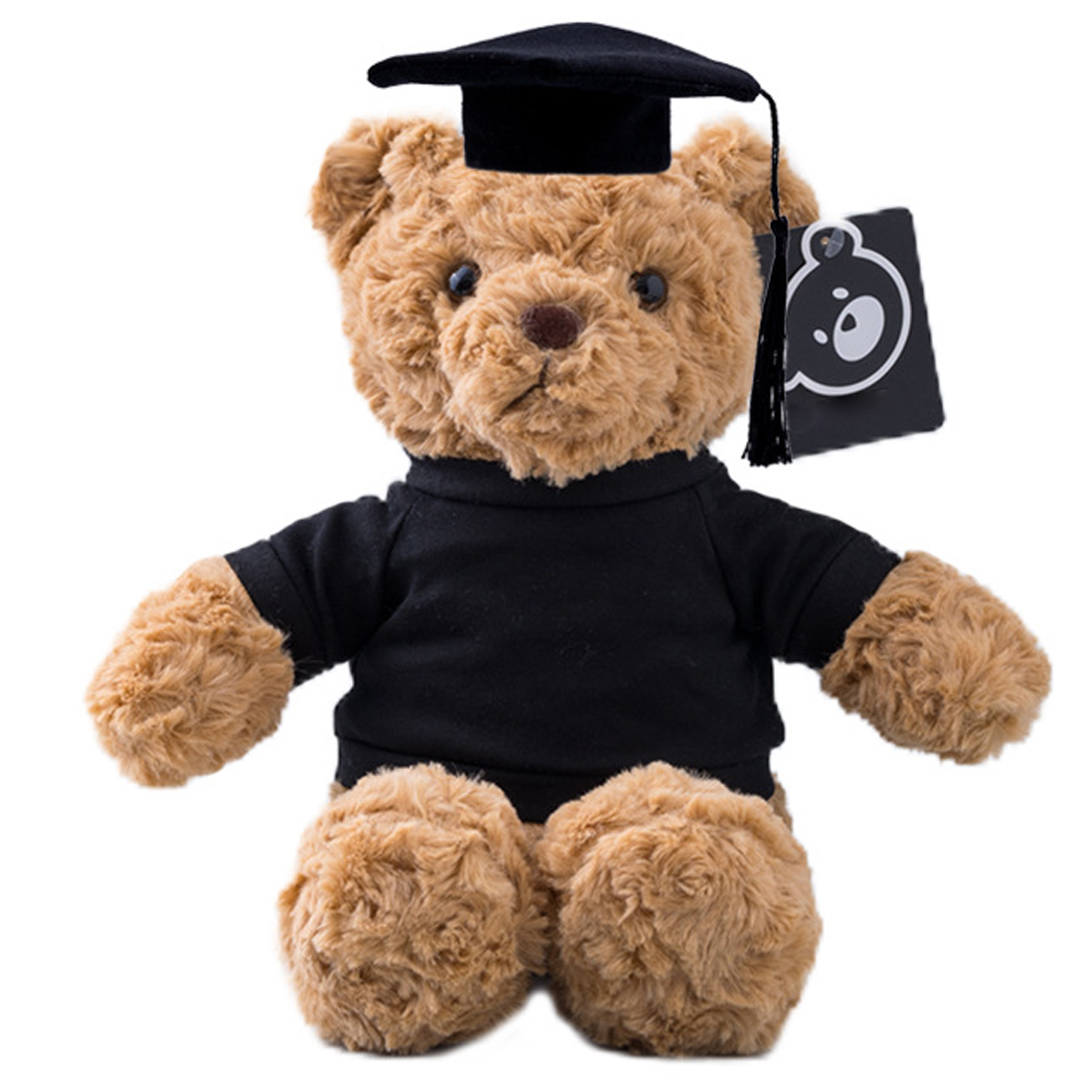 Polypropylene Fiber Graduation Ceremony Teddy Bear Doll 4