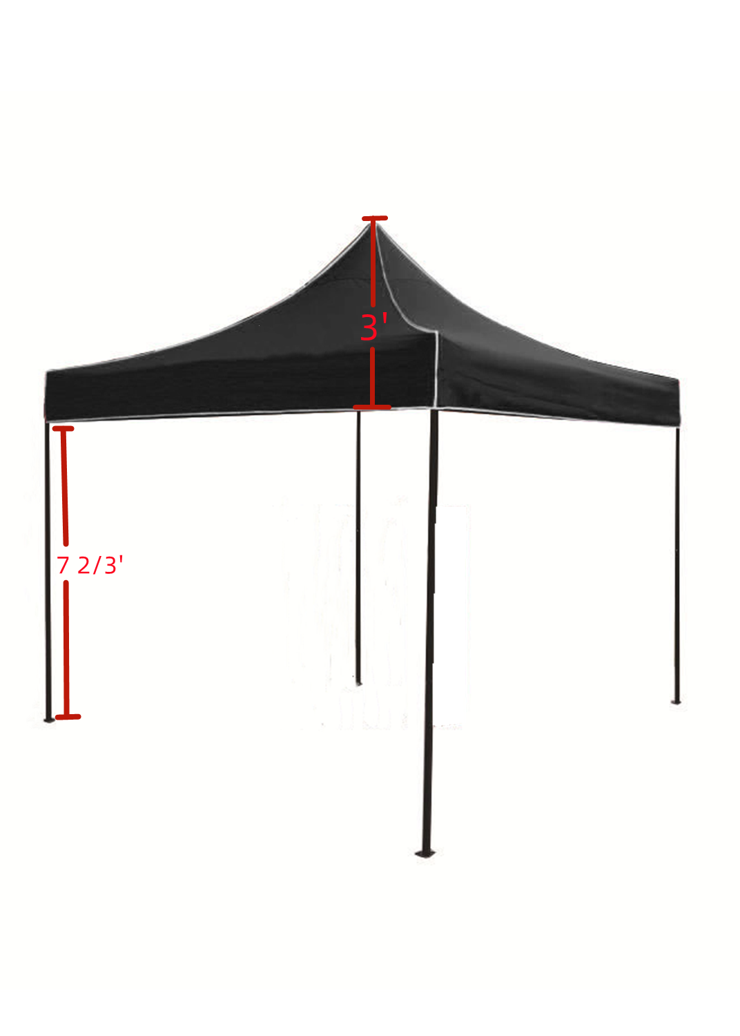 10'x10' Canopy Tent 2
