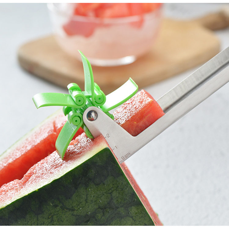 Stainless Steel Melon Cutter 5