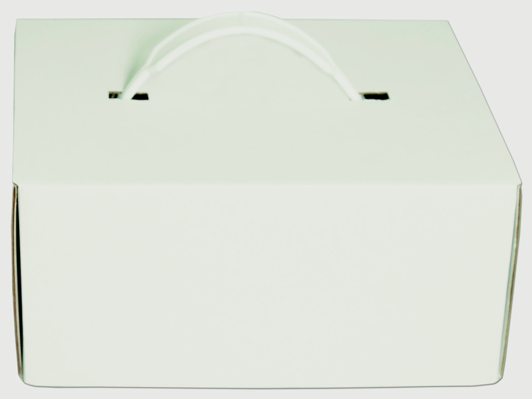 8 1/4" x 6 1/2" x 4" - E-Flute Box with Handle 2