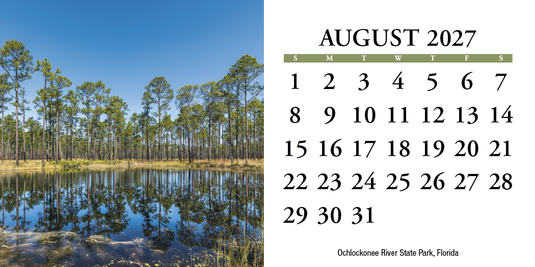 HotLine® Products Scenic America® Desk Tent Calendar 51