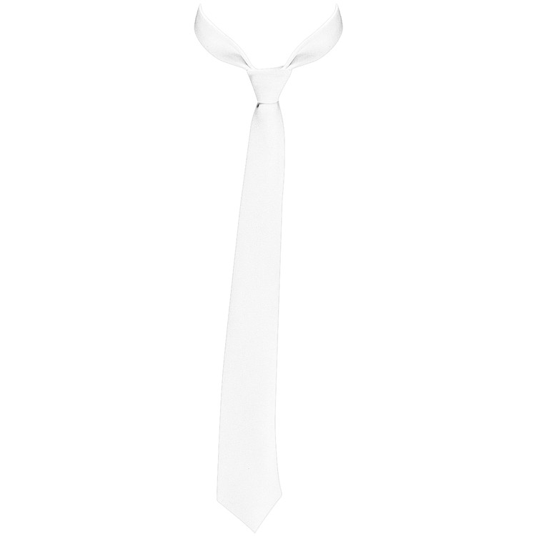 Full-Color Dress Tie 3