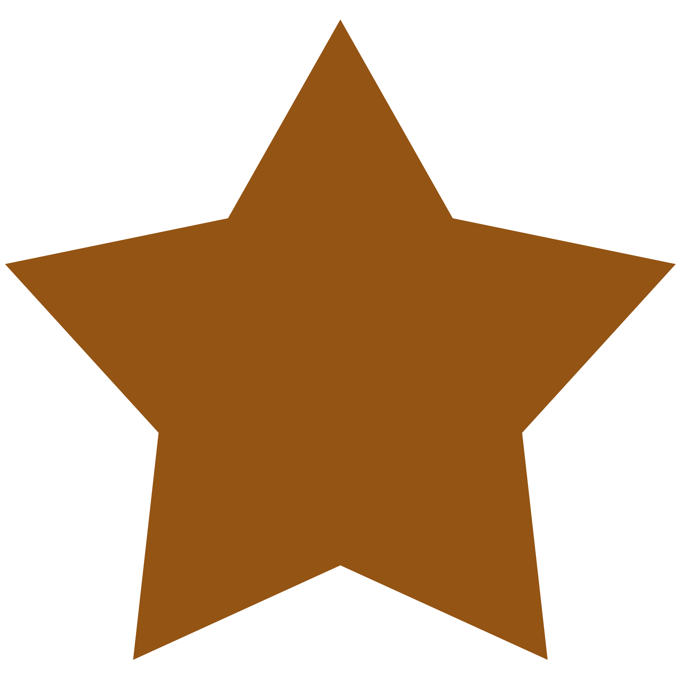 Star Shape 17