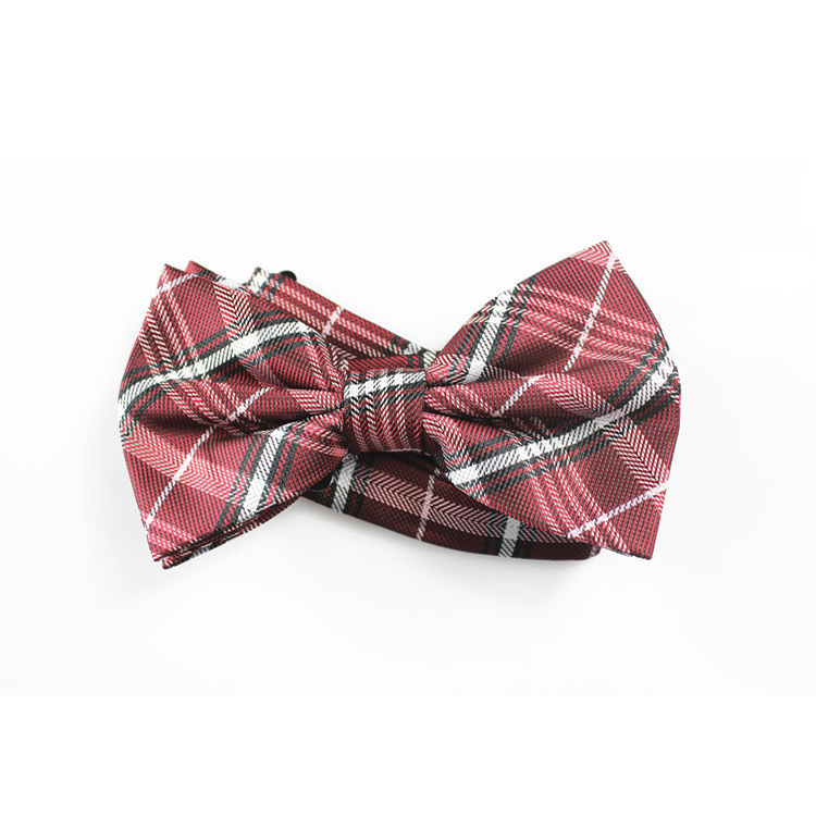 Polyester Bow Ties 3