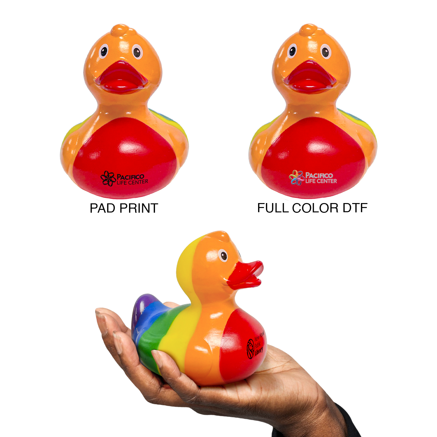 Rainbow Duck 2