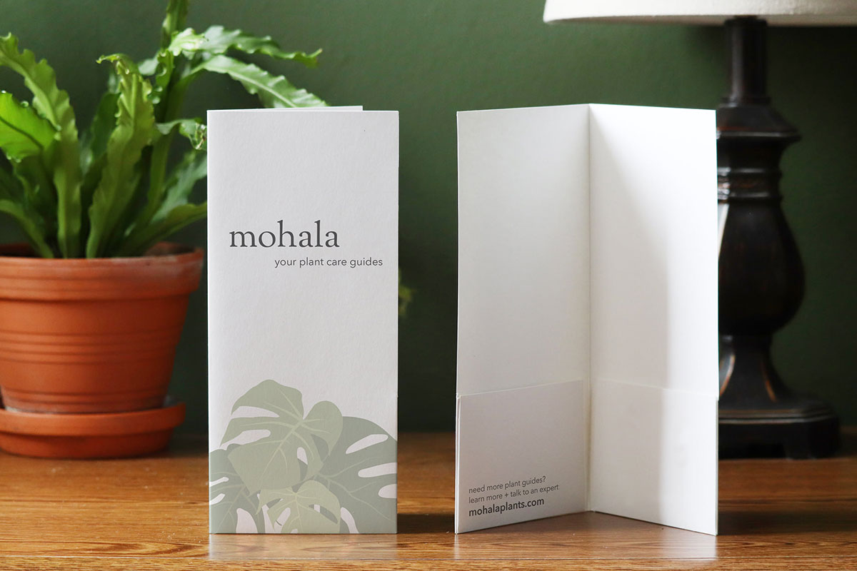 Mini Pocket Folder - Full Color Imprint Std. White Gloss 5