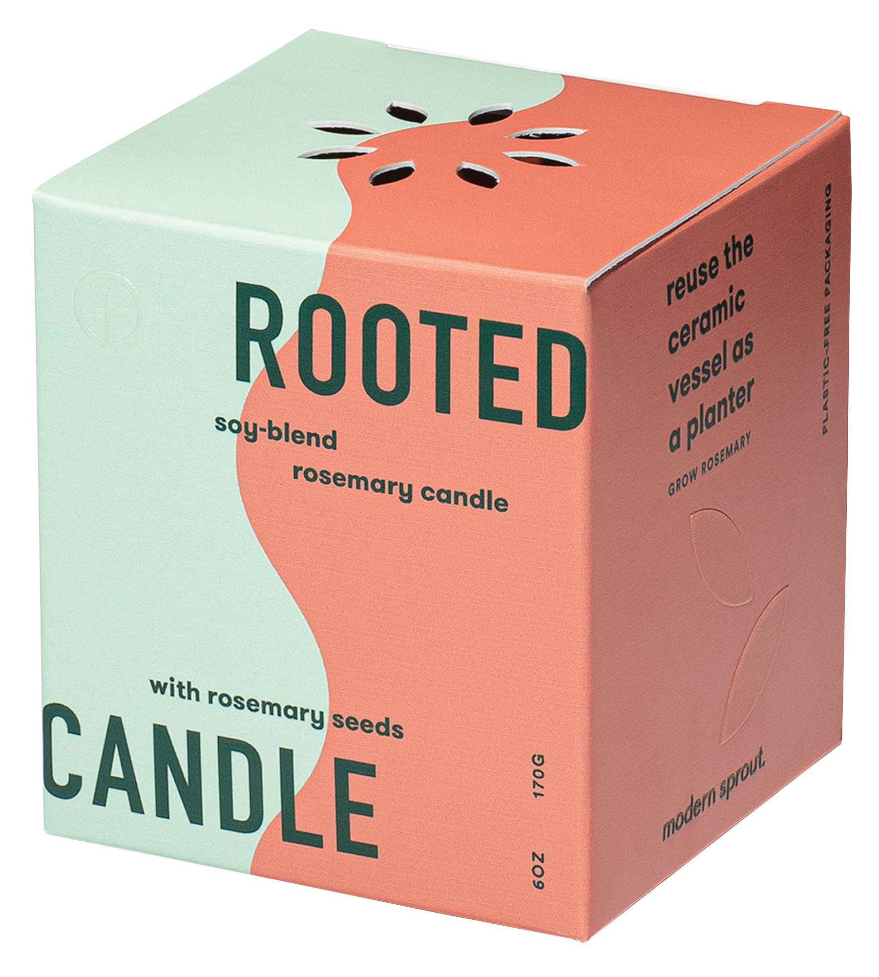 Modern Sprout® Rooted Candle 13