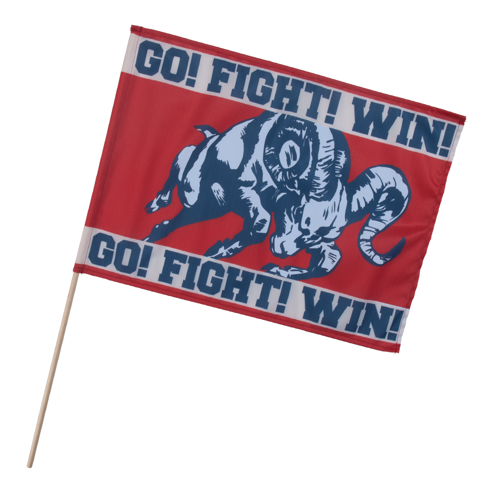 14" x 19" Fan Flag 25