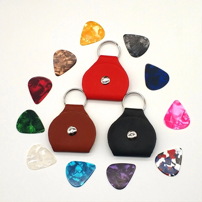 Guitar Picks And Holder Case 1