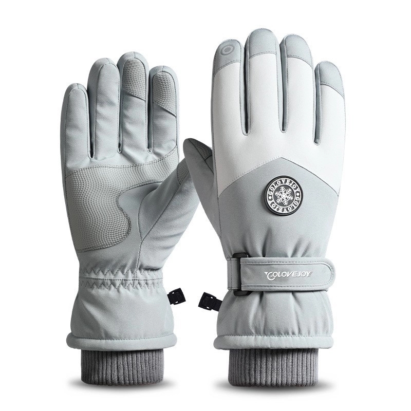 Ski Gloves 2