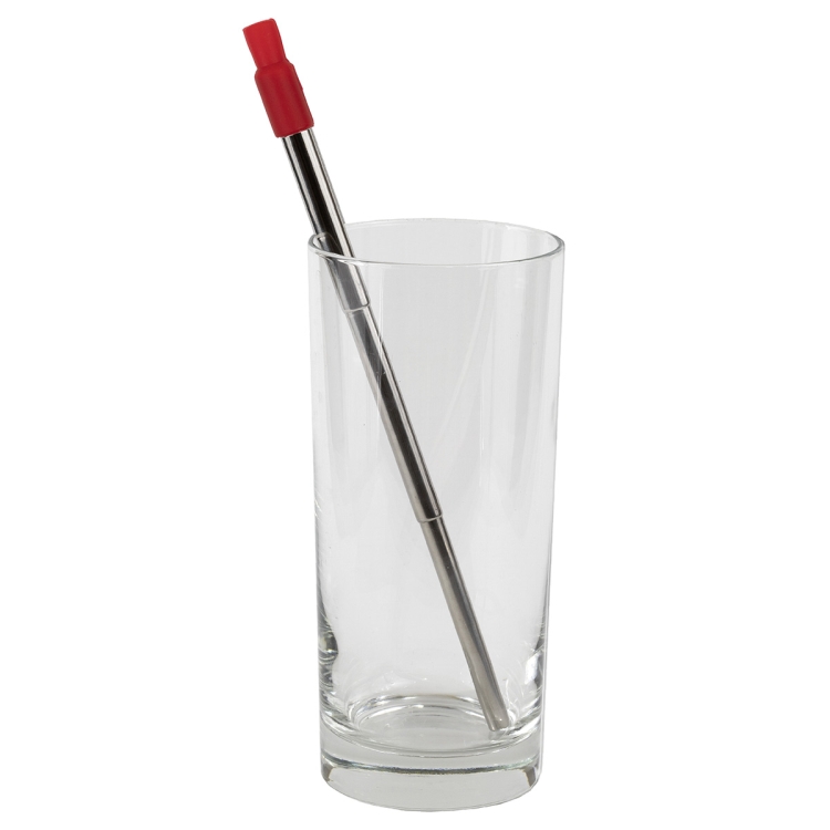 "Eco-Collapsible Straw" 8" Reusable Stainless Steel Straw 30