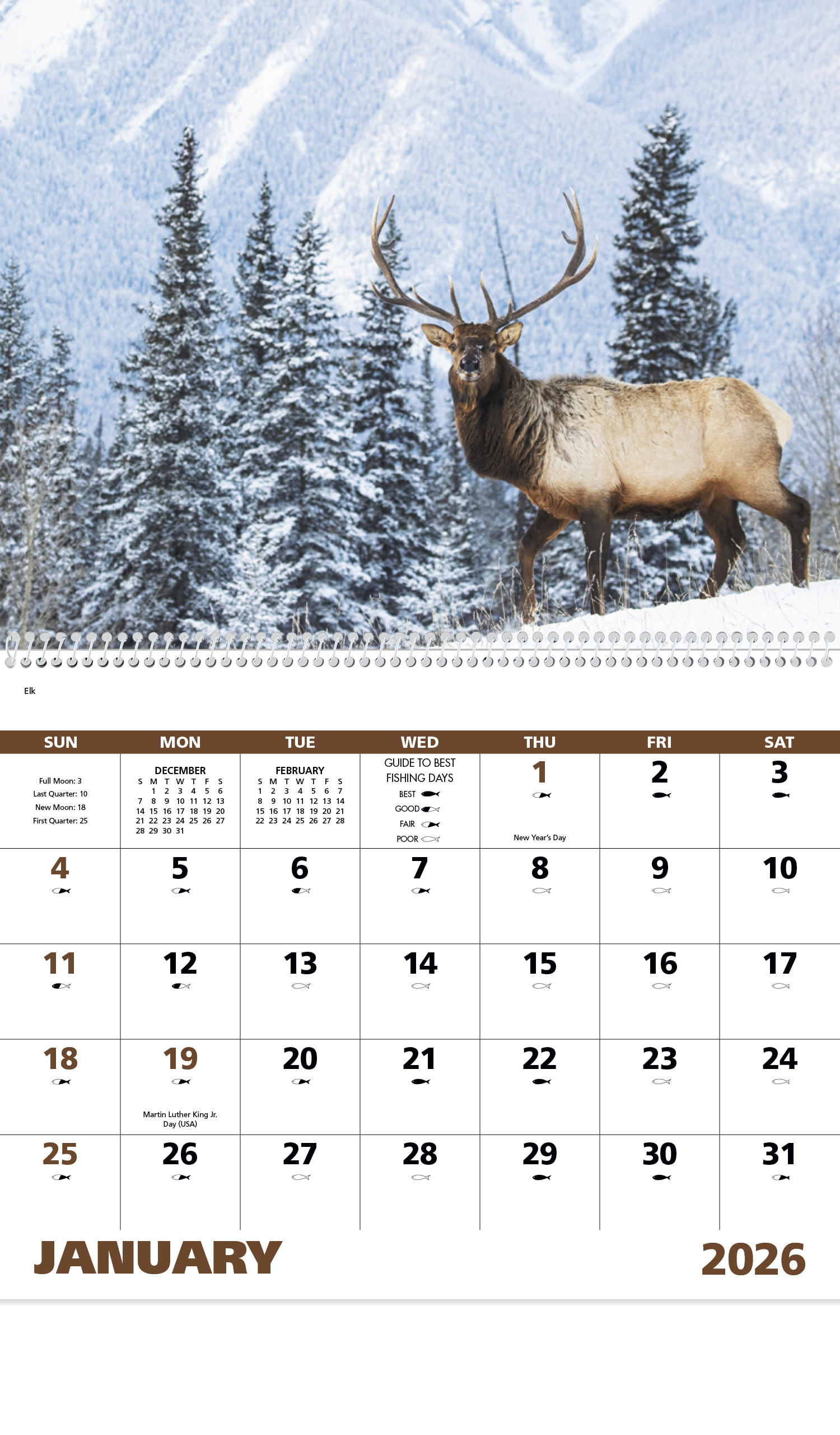 Good Value™ Wildlife Portraits - Spiral Calendar 44