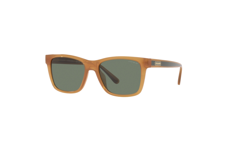 Coach Retro Square Badge Sunglasses 1