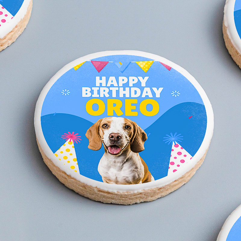 Custom Full Color Cookies 14
