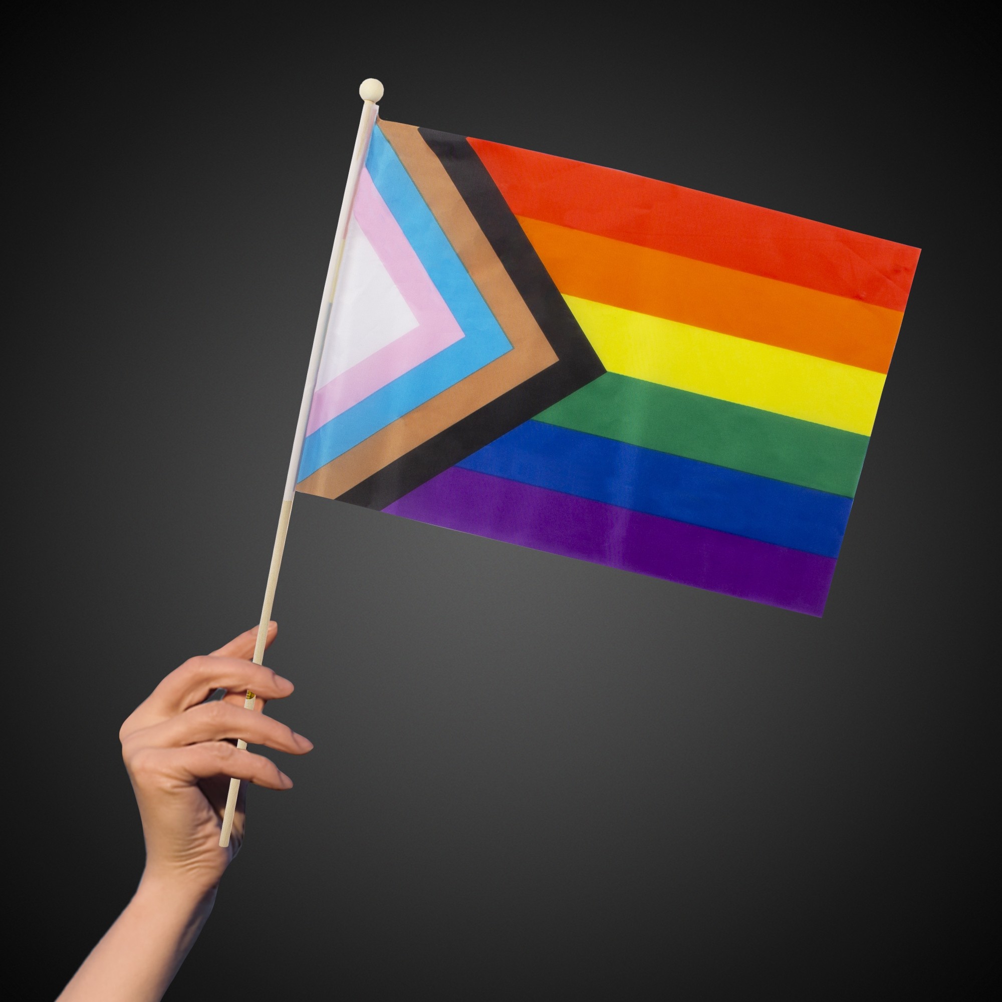 Progress Pride Rainbow Flag 12"x18" 2