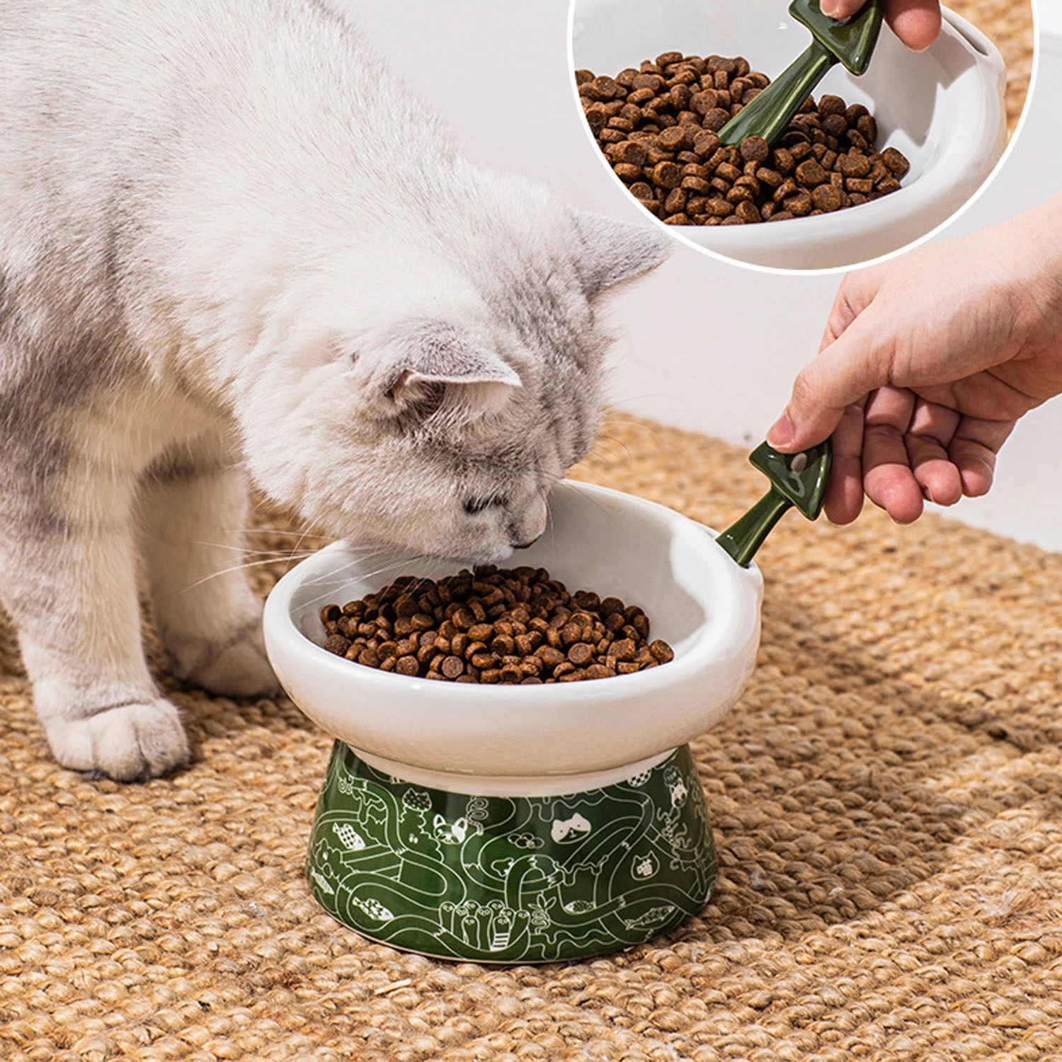 Elevated Ceramic Cat Food Bowl With 2 Mixing Spoon 2