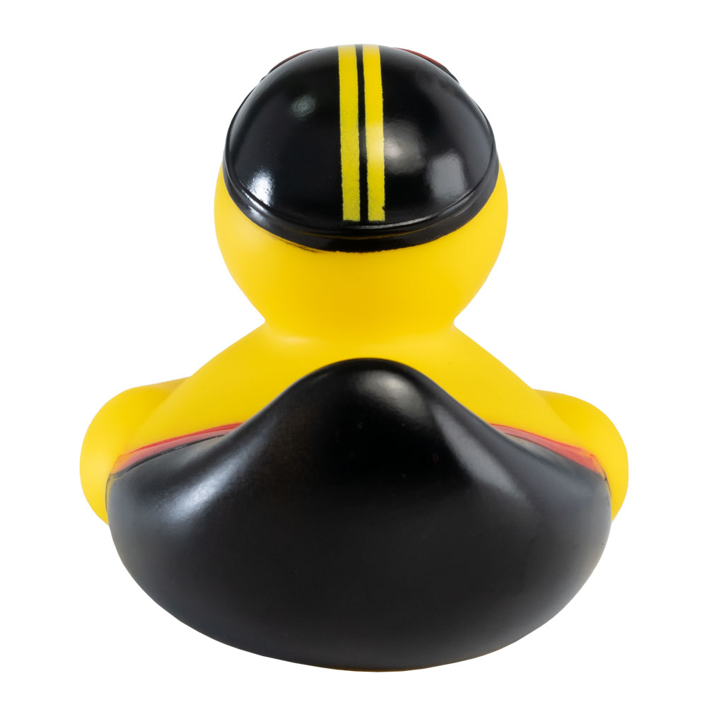 Swimmer Duck 1